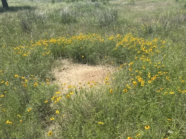 County Road 333 Blanket, TX 76432
