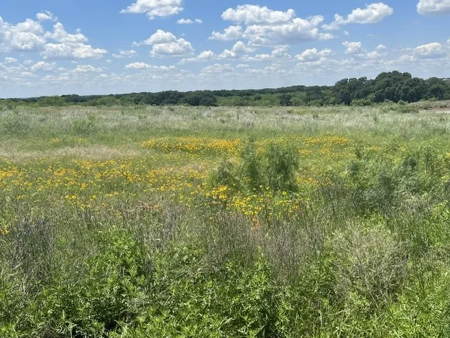 County Road 333 Blanket, TX 76432