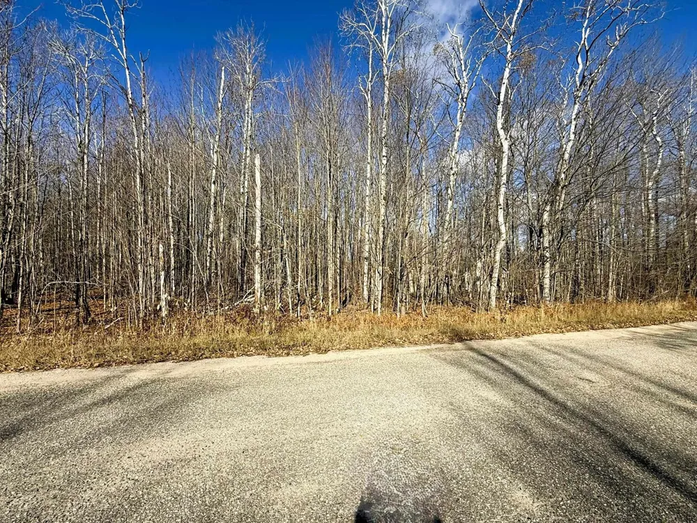Wilderness Circle Mancelona Township, MI 49659