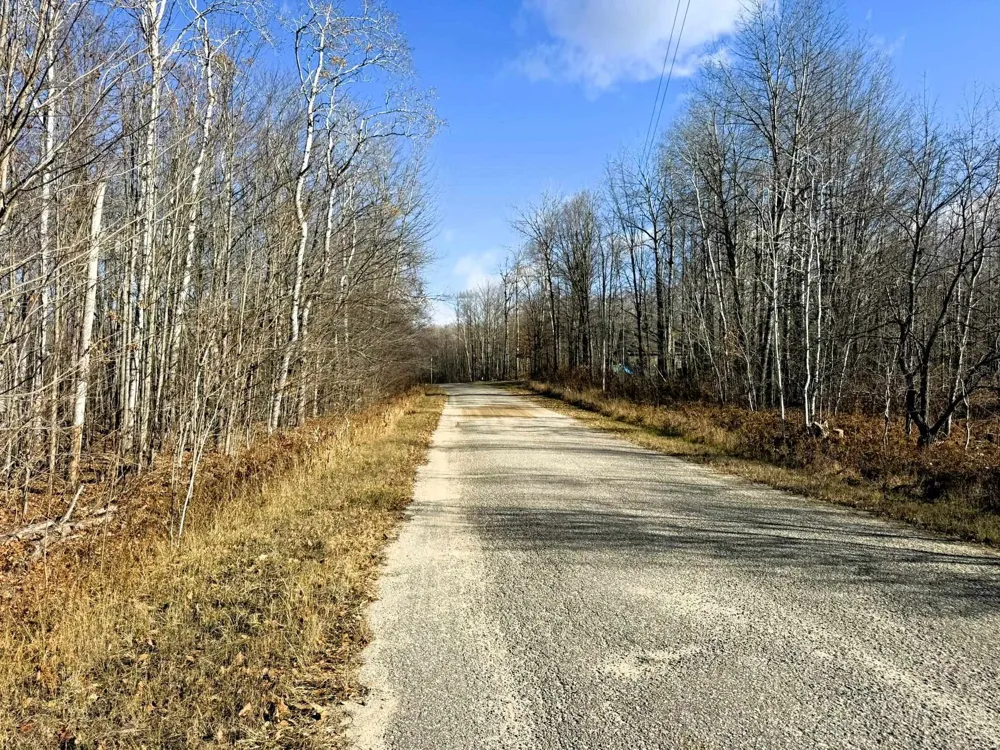 Wilderness Circle Mancelona Township, MI 49659