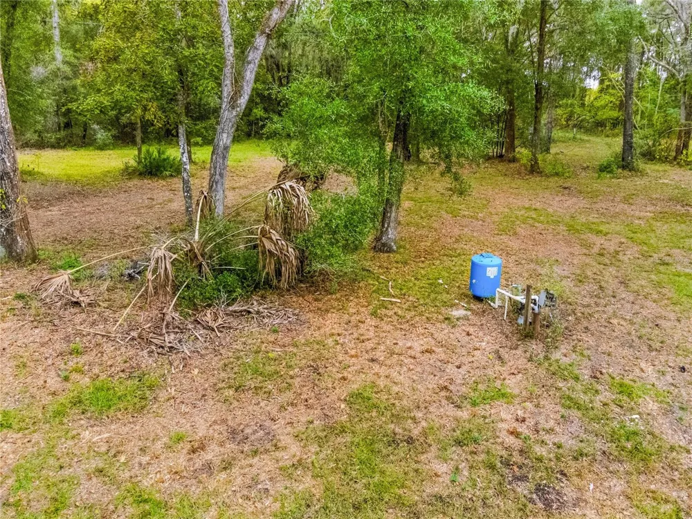 20614 NW 10TH PLACE Newberry, FL 32669