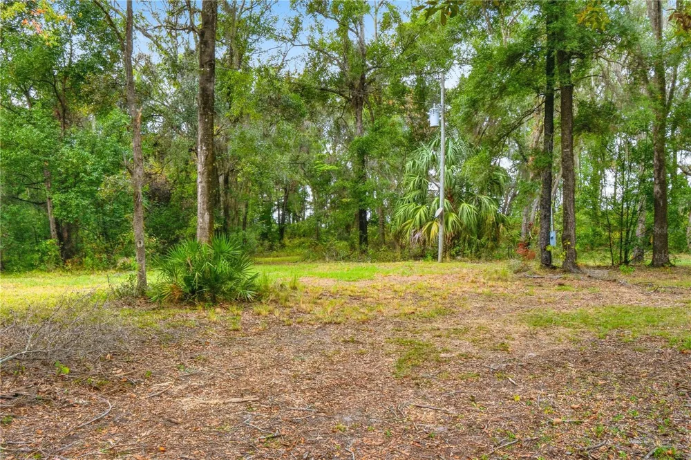 20614 NW 10TH PLACE Newberry, FL 32669