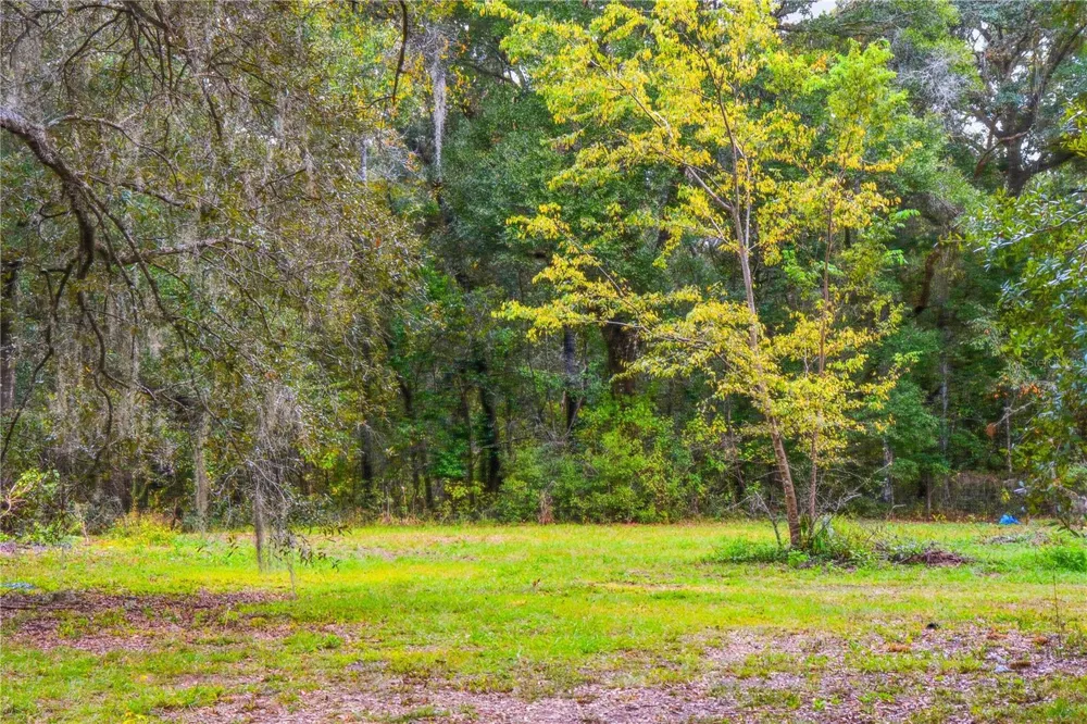 20614 NW 10TH PLACE Newberry, FL 32669