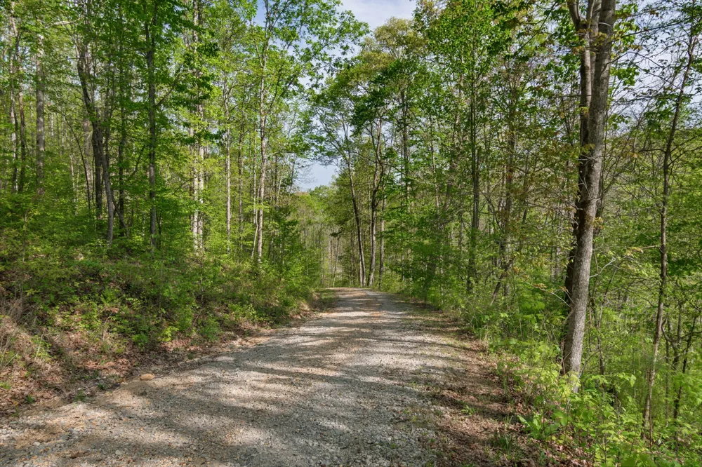 202 Ravenridge Rd Summertown, TN 38483