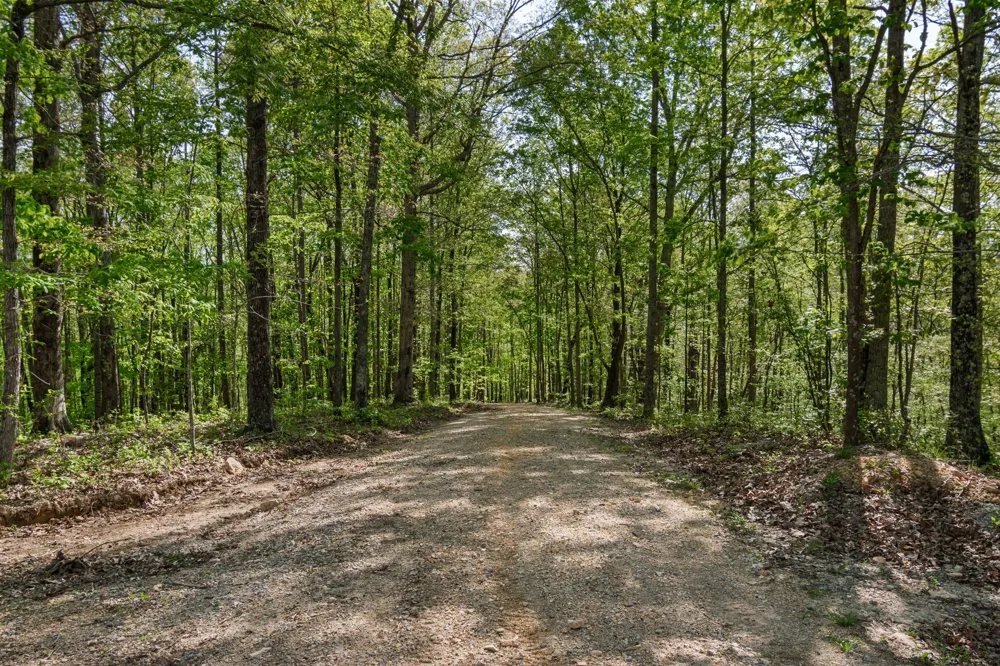 202 Ravenridge Rd Summertown, TN 38483
