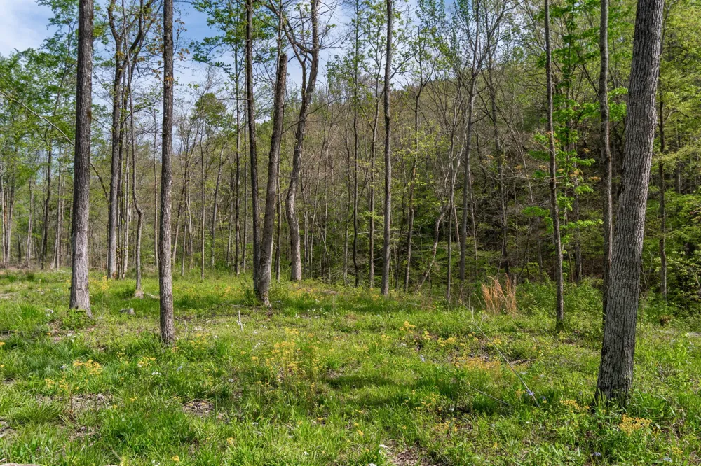 202 Ravenridge Rd Summertown, TN 38483