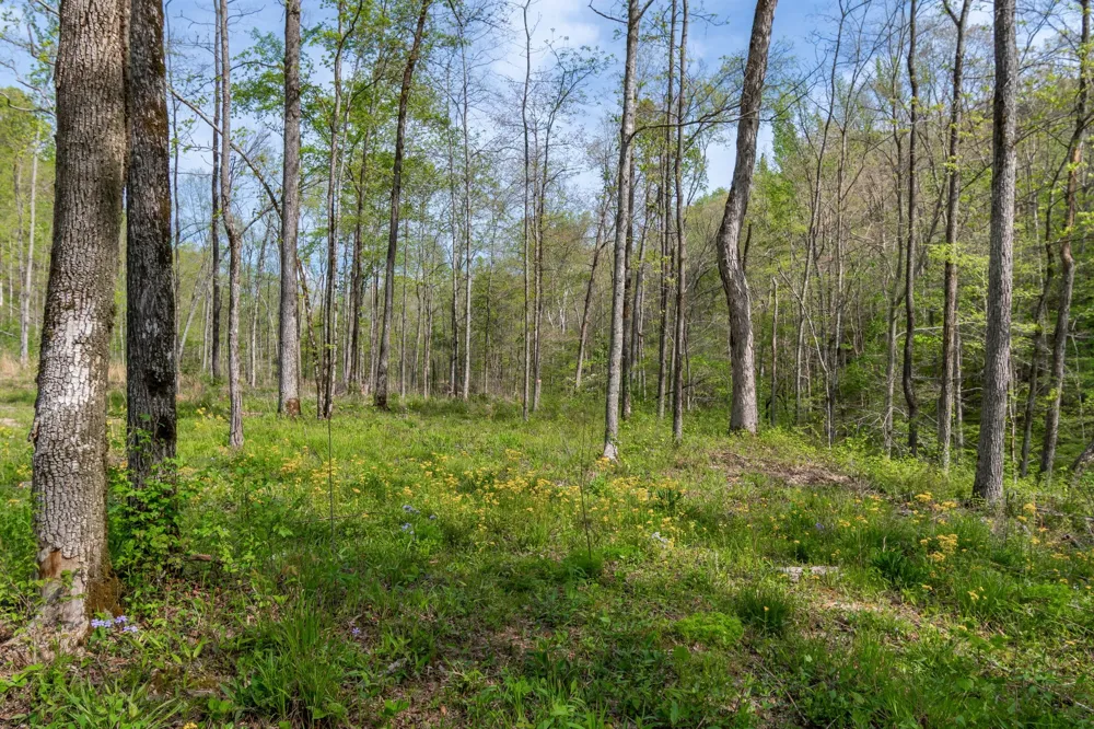 202 Ravenridge Rd Summertown, TN 38483