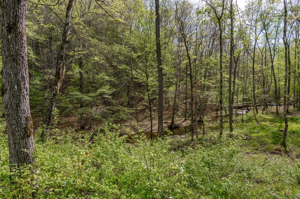 202 Ravenridge Rd Summertown, TN 38483