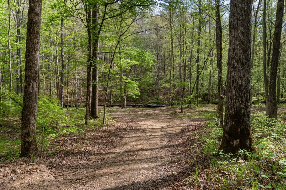 202 Ravenridge Rd Summertown, TN 38483