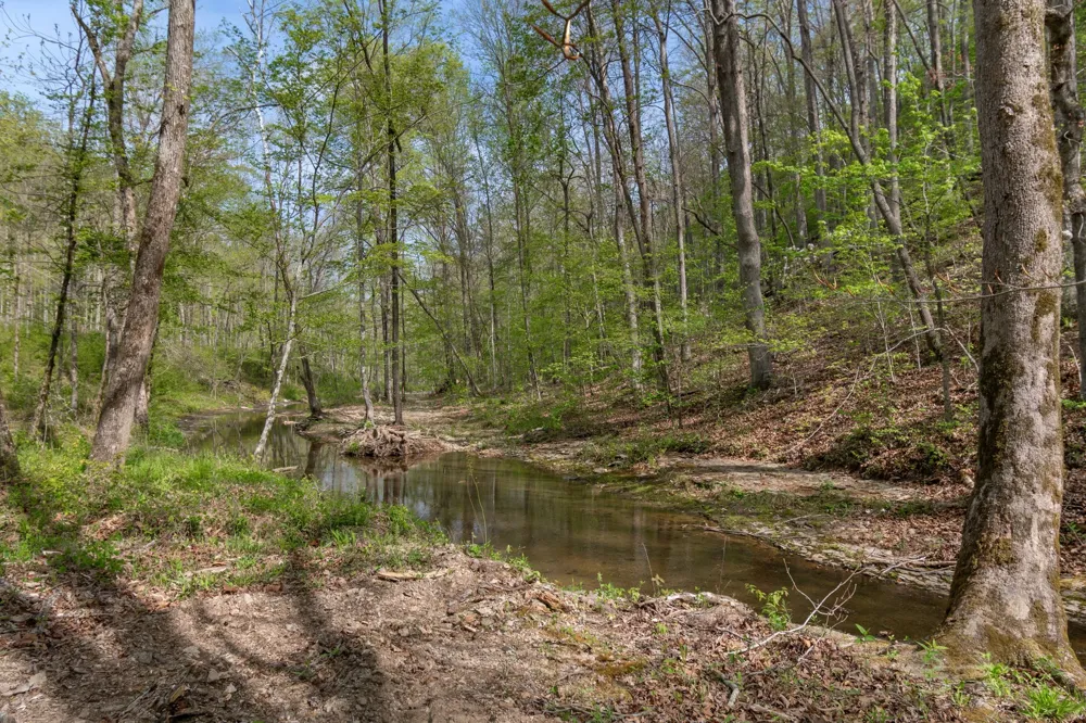 202 Ravenridge Rd Summertown, TN 38483