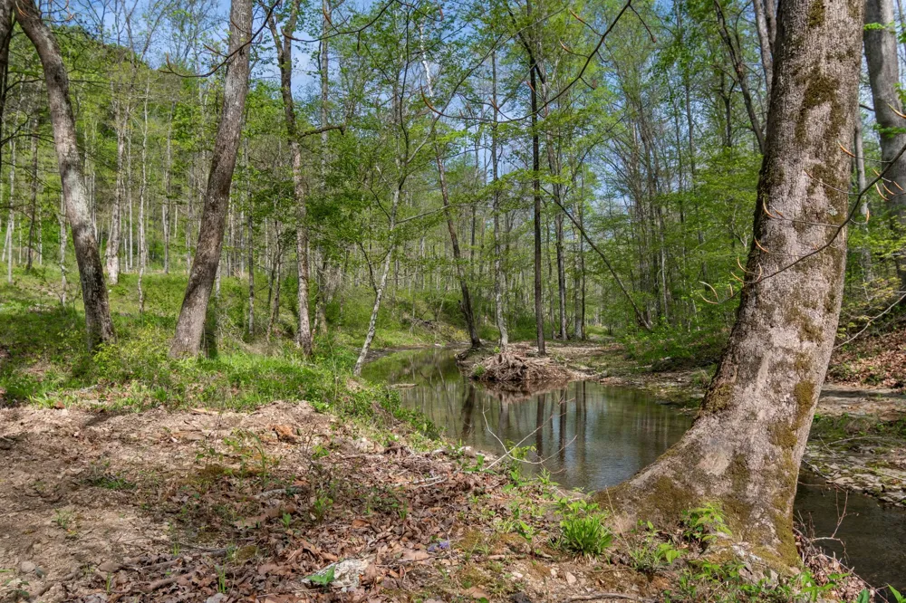 202 Ravenridge Rd Summertown, TN 38483