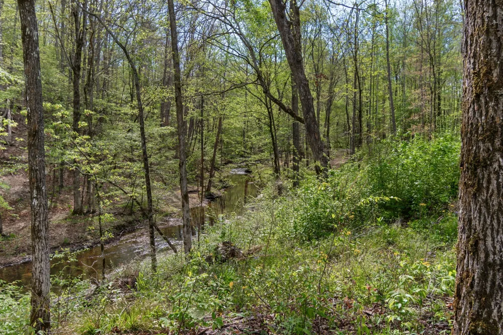 202 Ravenridge Rd Summertown, TN 38483