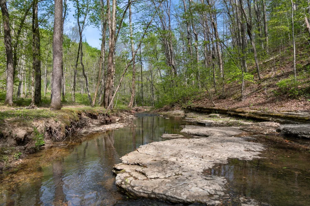 202 Ravenridge Rd Summertown, TN 38483
