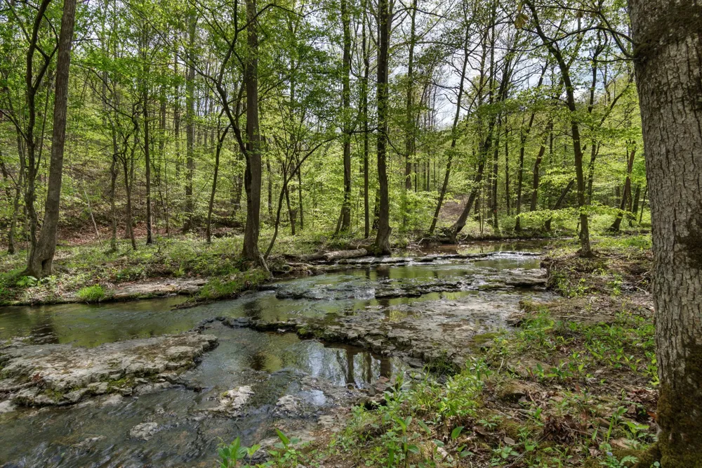 202 Ravenridge Rd Summertown, TN 38483
