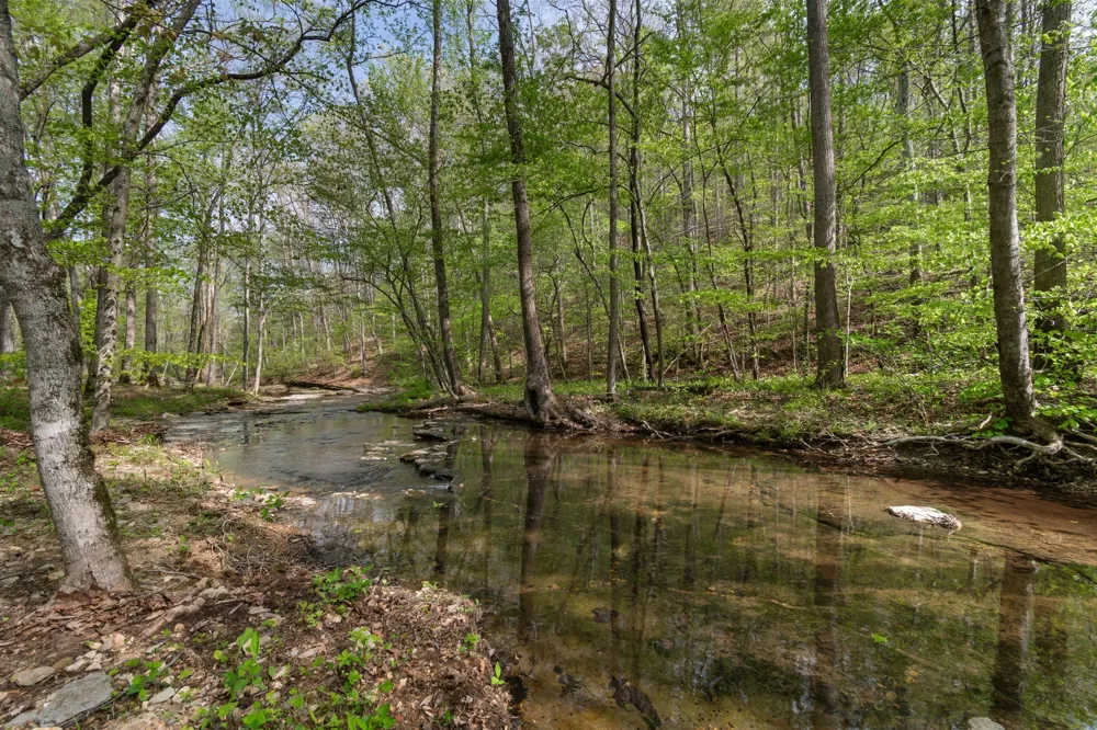 202 Ravenridge Rd Summertown, TN 38483