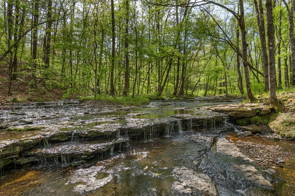 202 Ravenridge Rd Summertown, TN 38483
