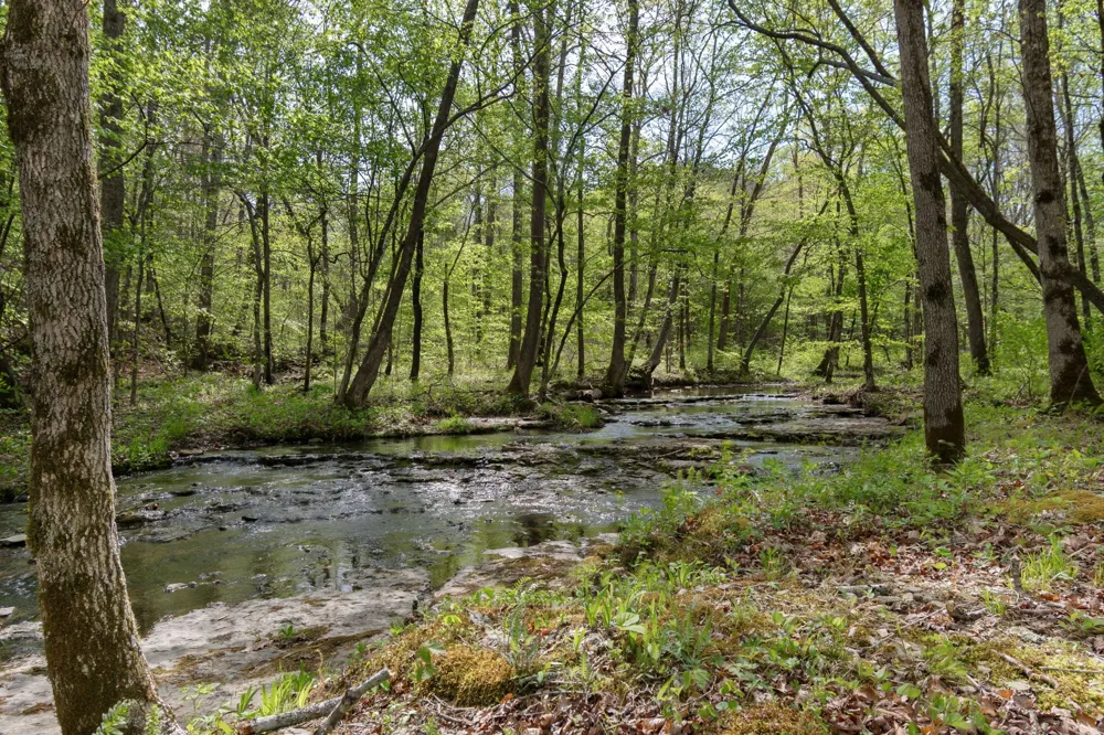 202 Ravenridge Rd Summertown, TN 38483