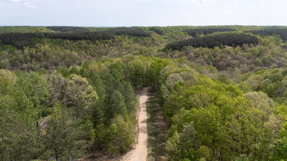 202 Ravenridge Rd Summertown, TN 38483