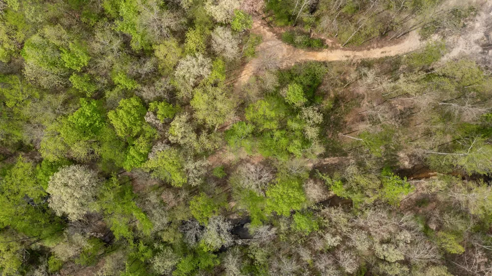 202 Ravenridge Rd Summertown, TN 38483