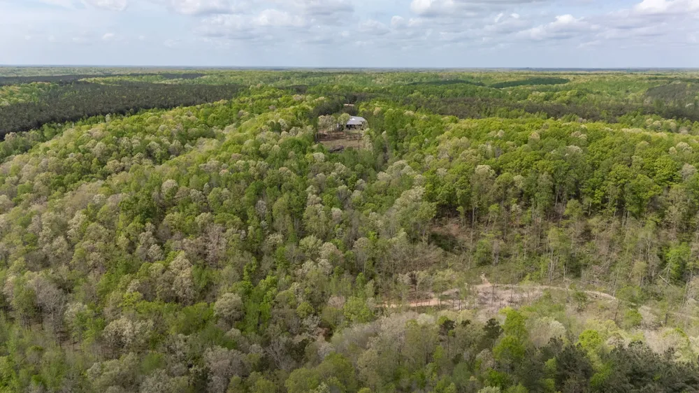 202 Ravenridge Rd Summertown, TN 38483