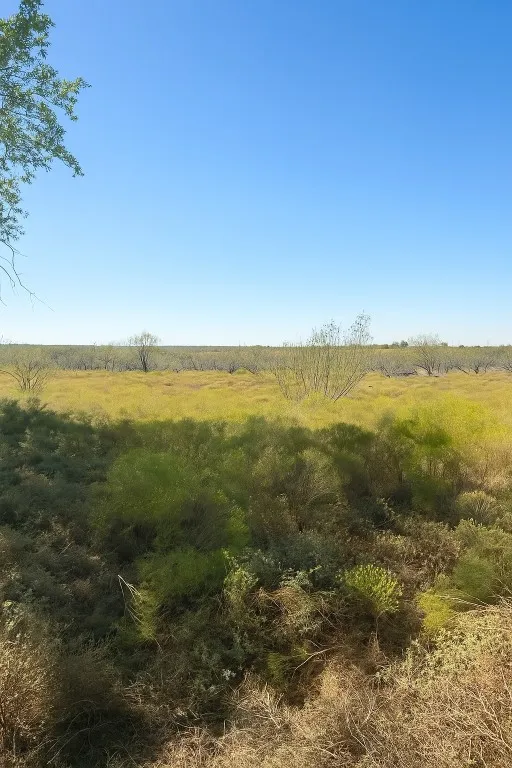 County Road 112 Buckholts, TX 76518