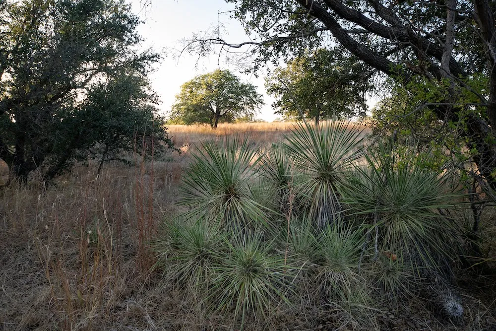 Address Not Shown Mason, TX 76842