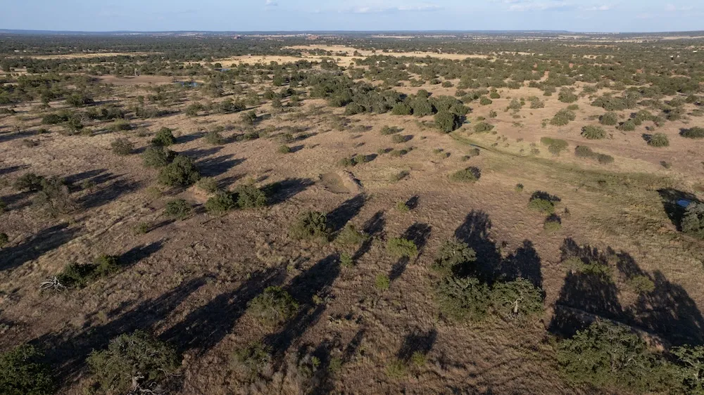 Address Not Shown Mason, TX 76842