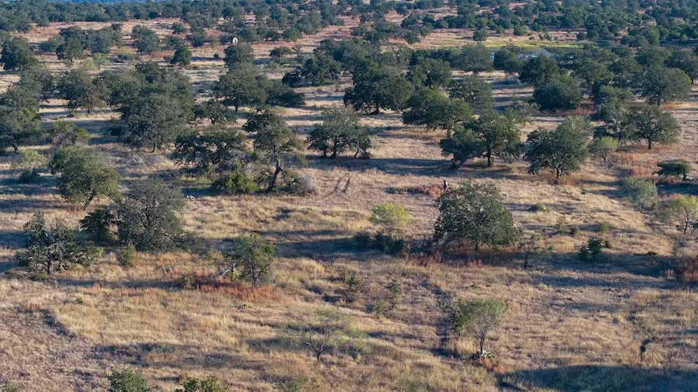 Address Not Shown Mason, TX 76842
