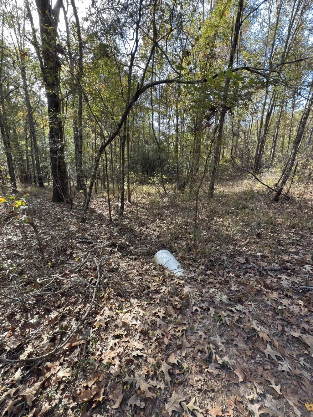 Boggy Road Waskom, TX 75692