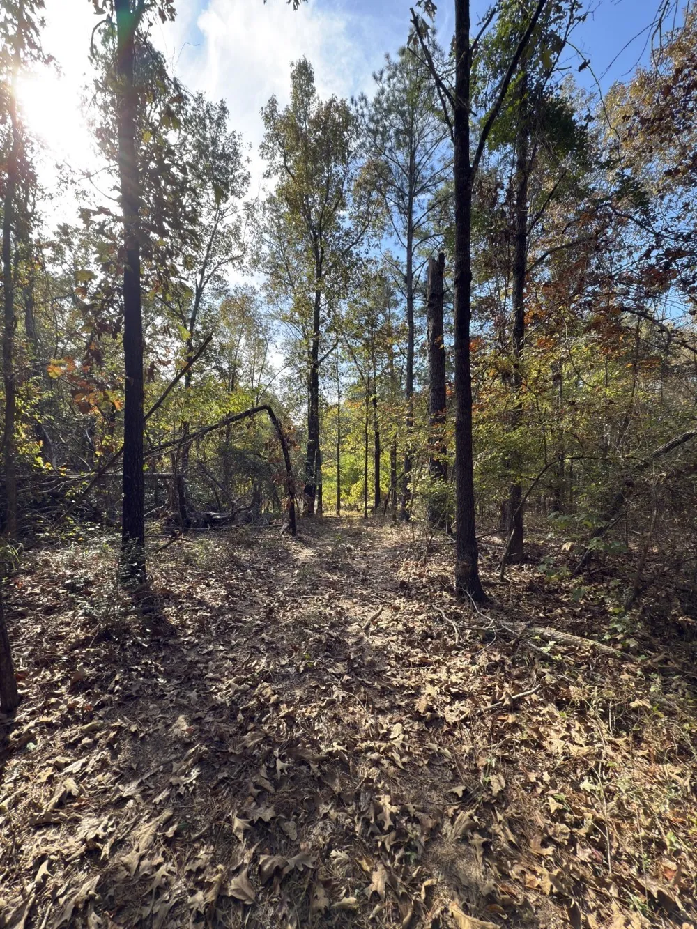 Boggy Road Waskom, TX 75692
