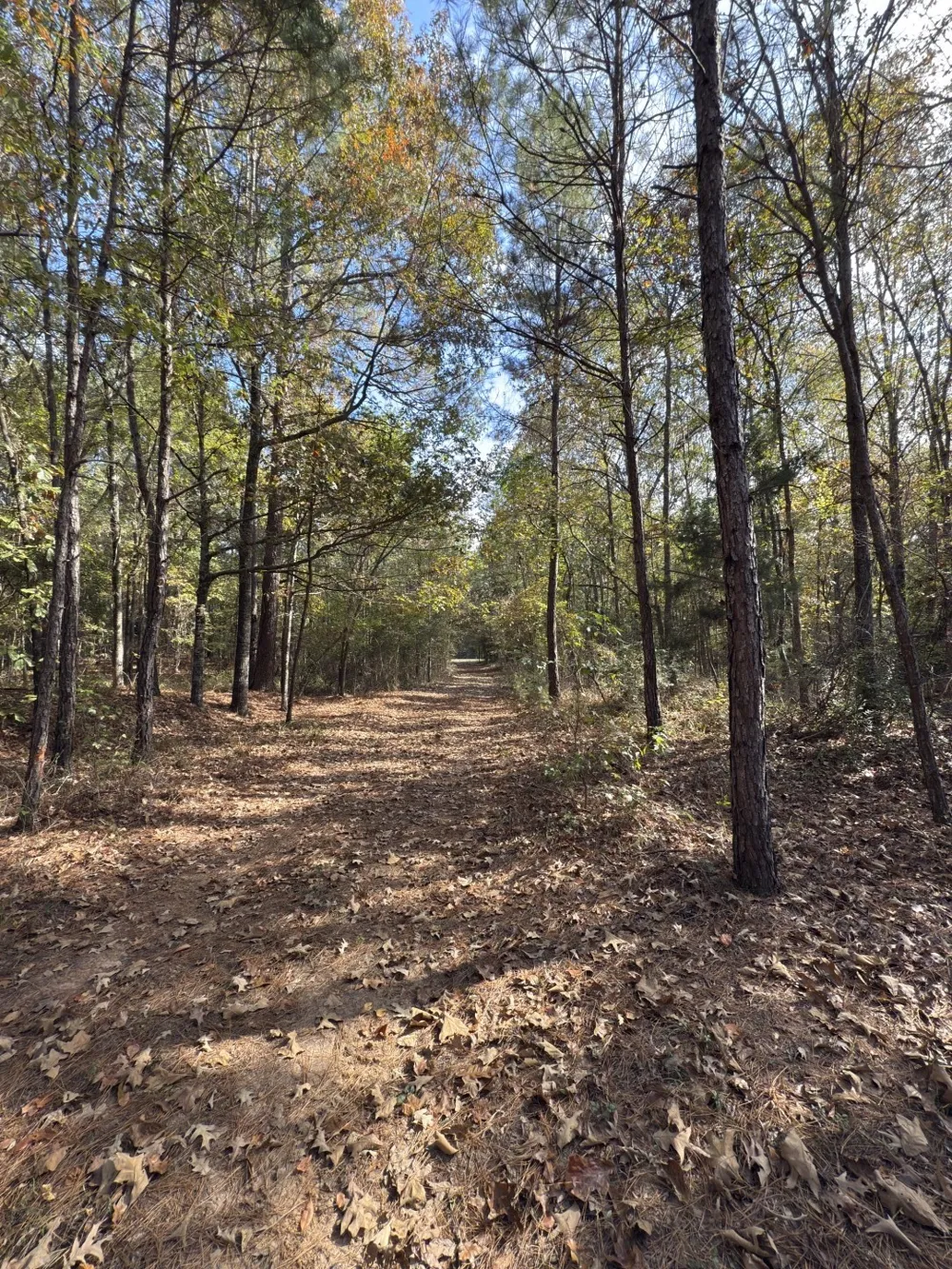 Boggy Road Waskom, TX 75692