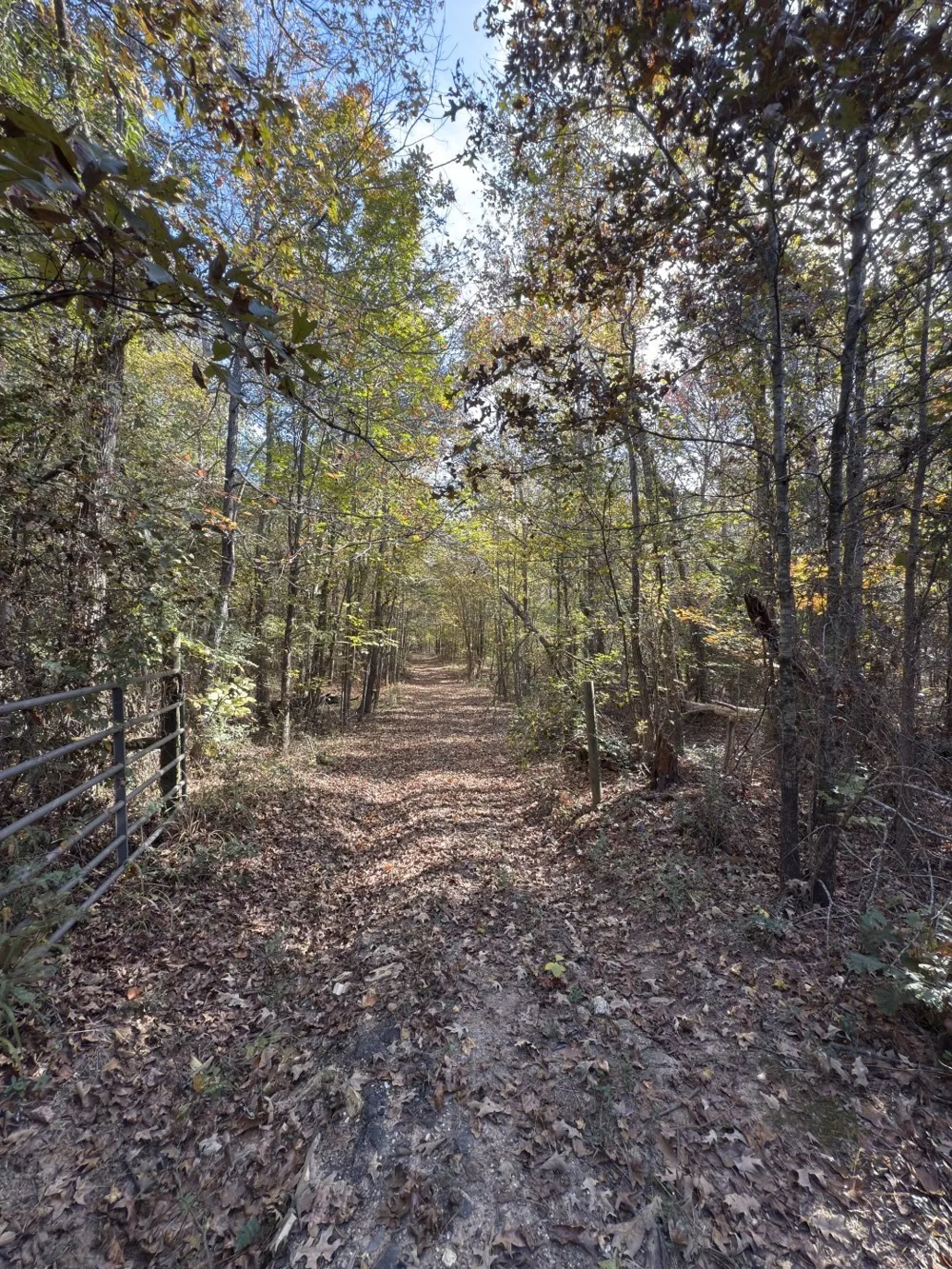 Boggy Road Waskom, TX 75692