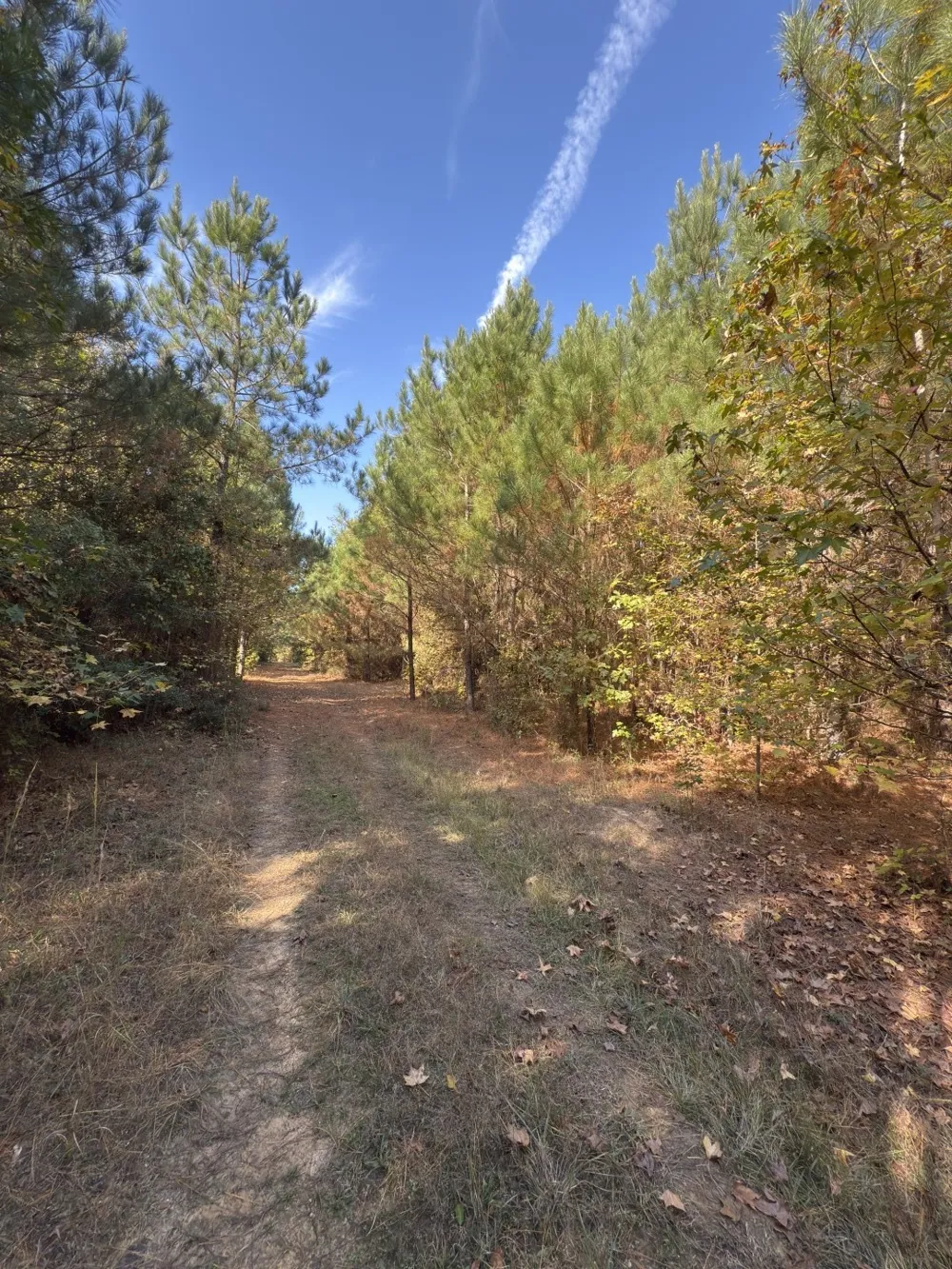 Boggy Road Waskom, TX 75692
