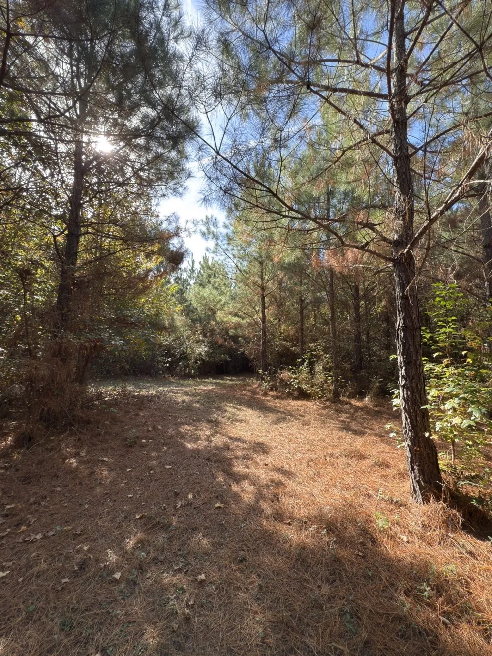 Boggy Road Waskom, TX 75692
