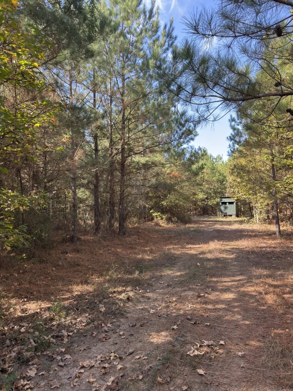 Boggy Road Waskom, TX 75692
