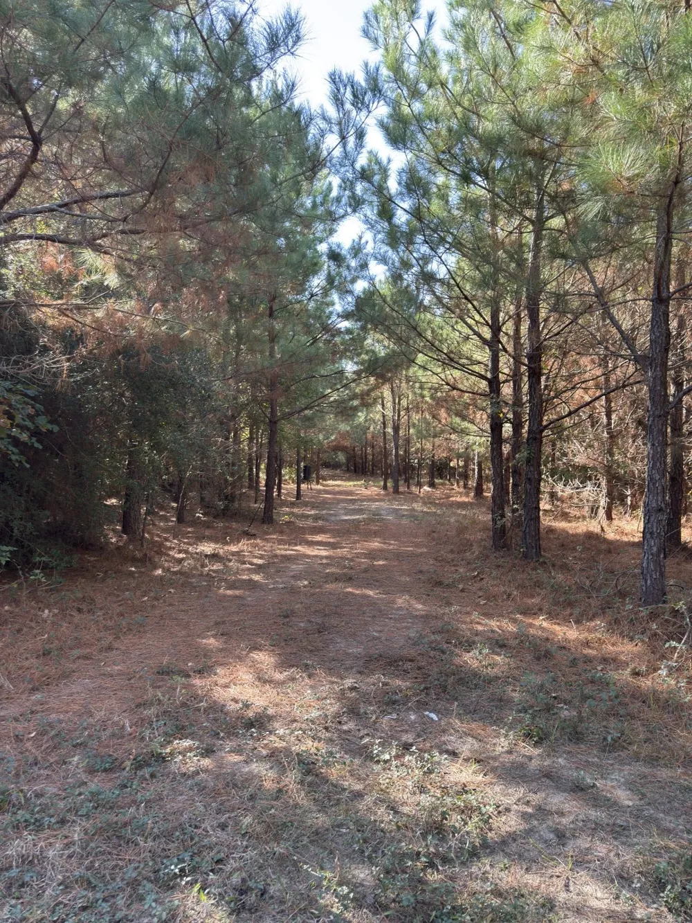 Boggy Road Waskom, TX 75692