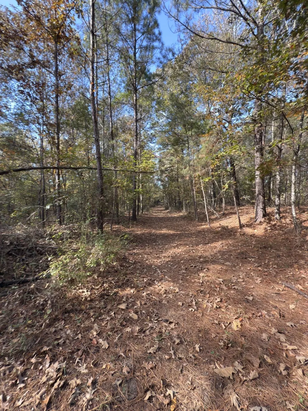 Boggy Road Waskom, TX 75692