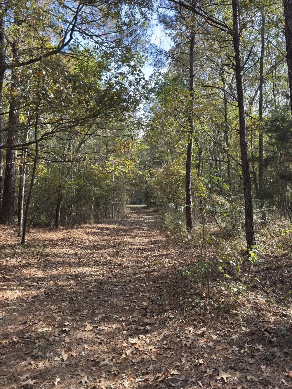 Boggy Road Waskom, TX 75692