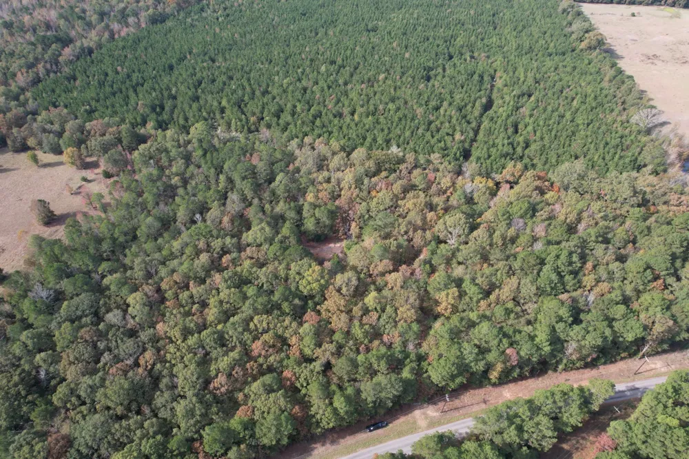 Boggy Road Waskom, TX 75692