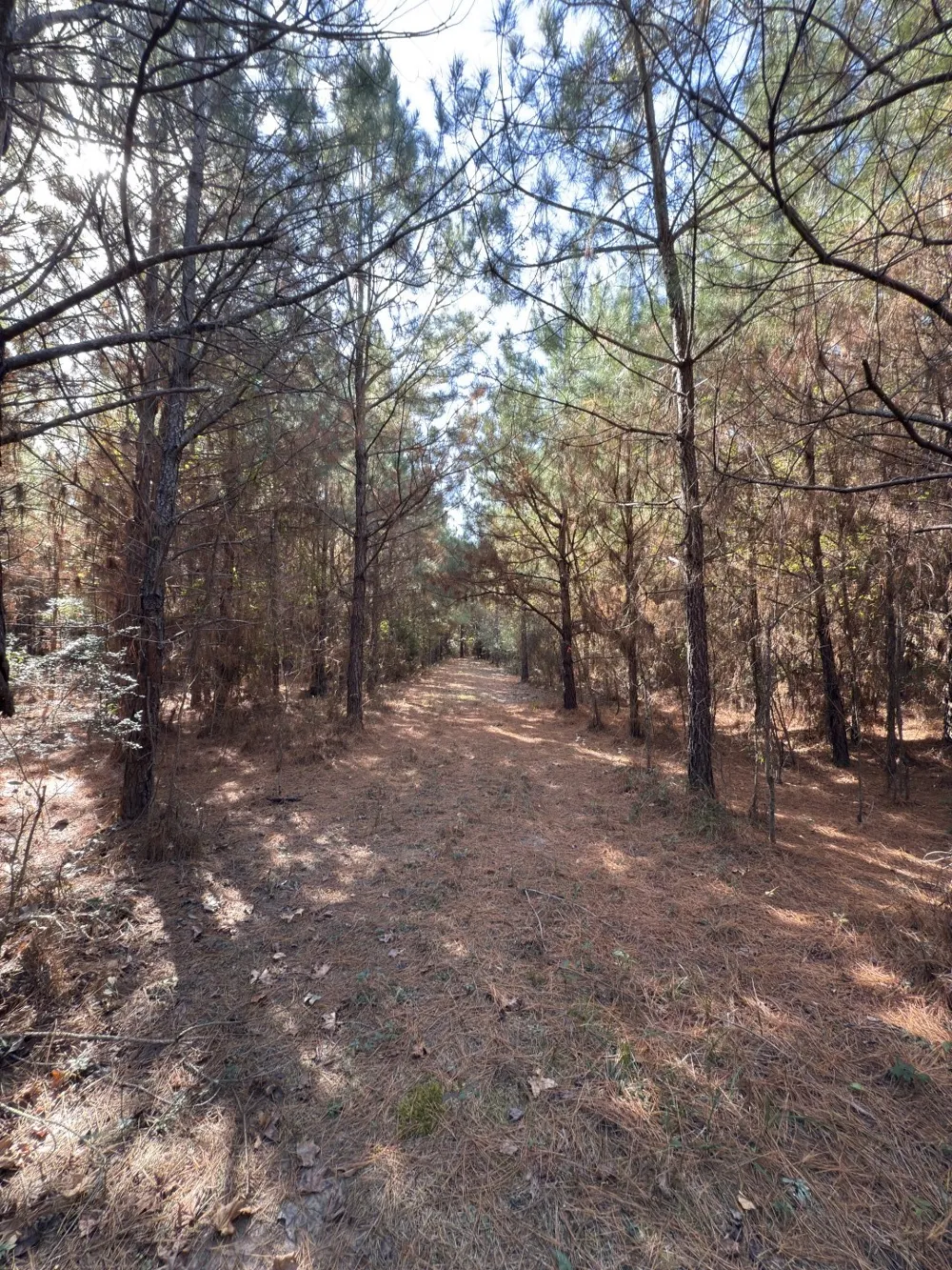 Boggy Road Waskom, TX 75692