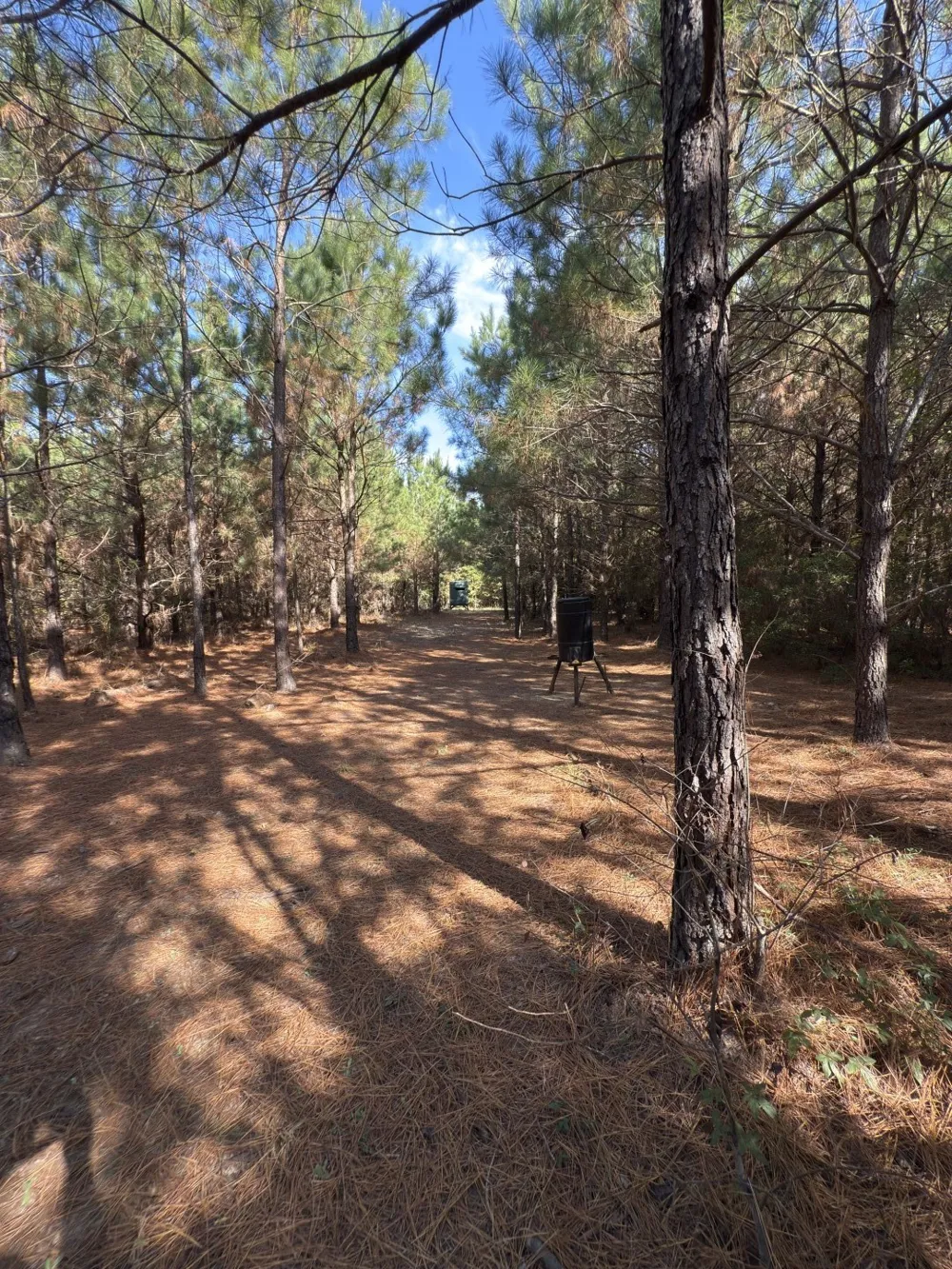 Boggy Road Waskom, TX 75692