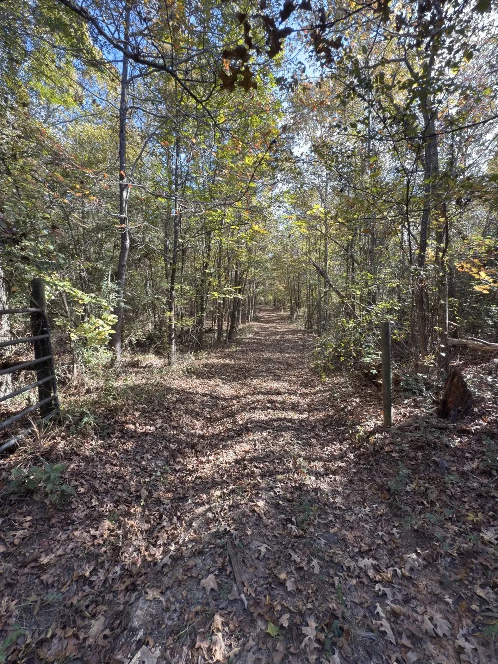 Boggy Road Waskom, TX 75692