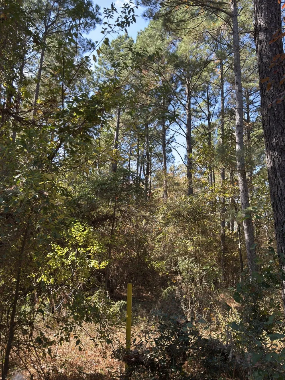 Boggy Road Waskom, TX 75692