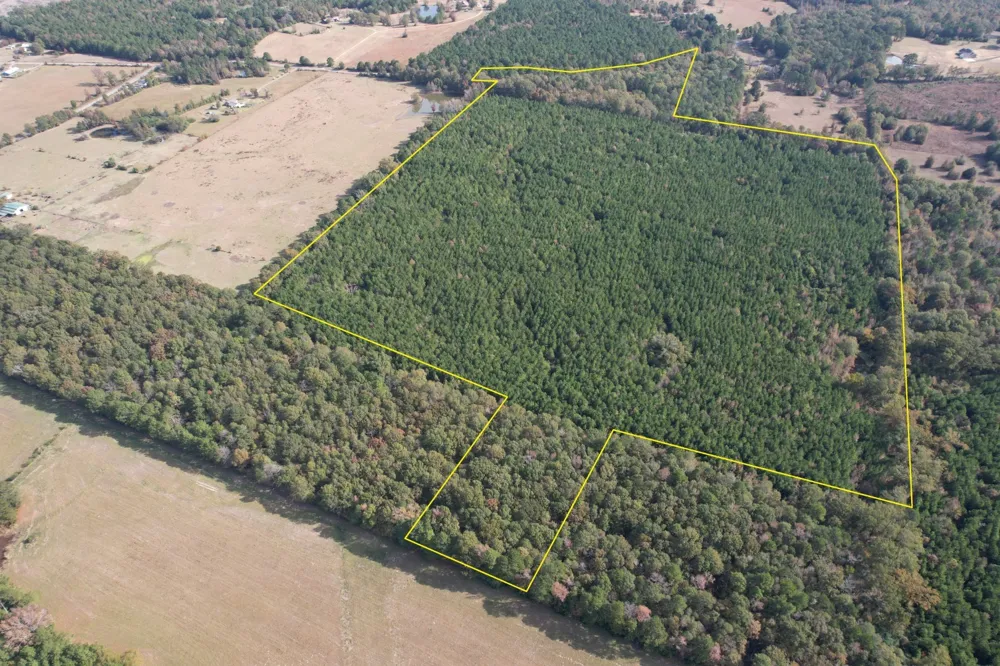 Boggy Road Waskom, TX 75692