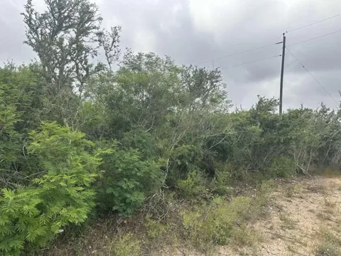 County Road 187