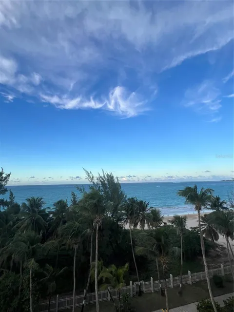 4745 ISLA VERDE AVENUE #8-C