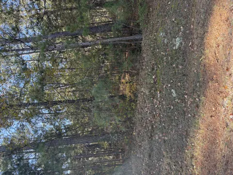 13 Two Wood Pl