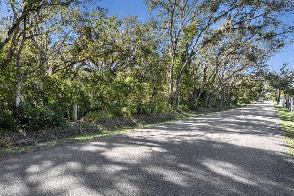 FAYE STREET Apopka, FL 32712