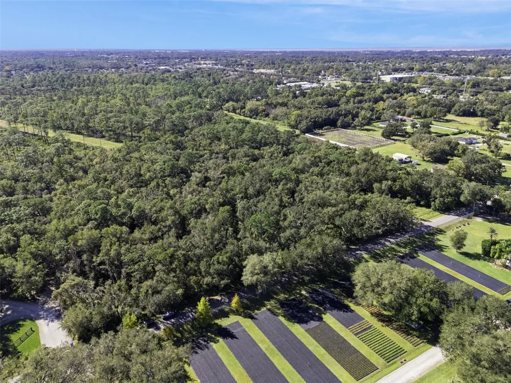 FAYE STREET Apopka, FL 32712