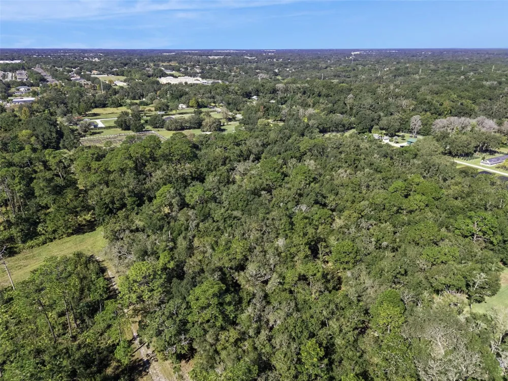FAYE STREET Apopka, FL 32712